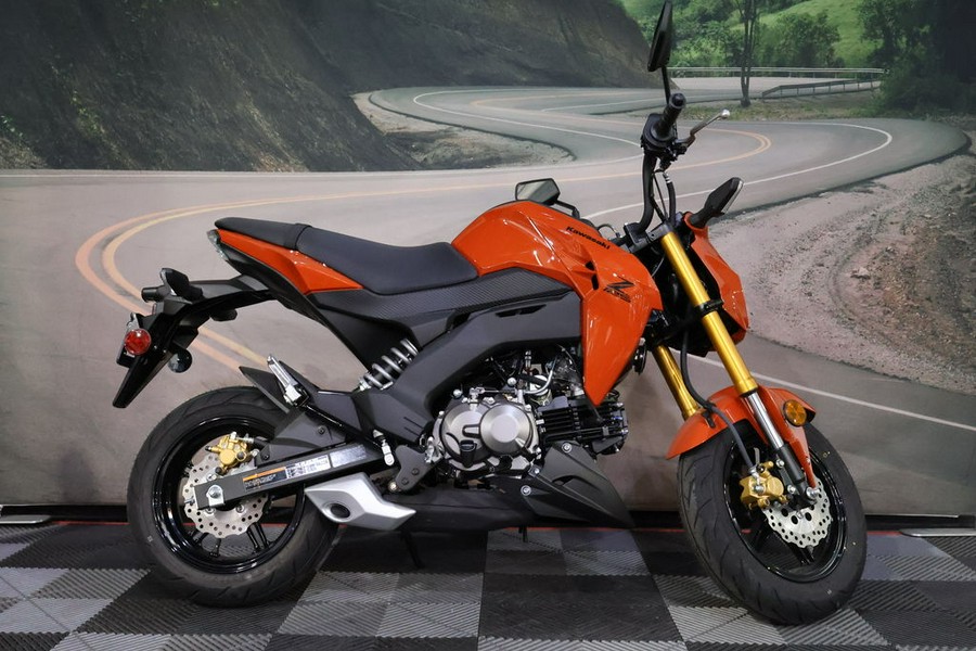 2025 Kawasaki Z125 PRO