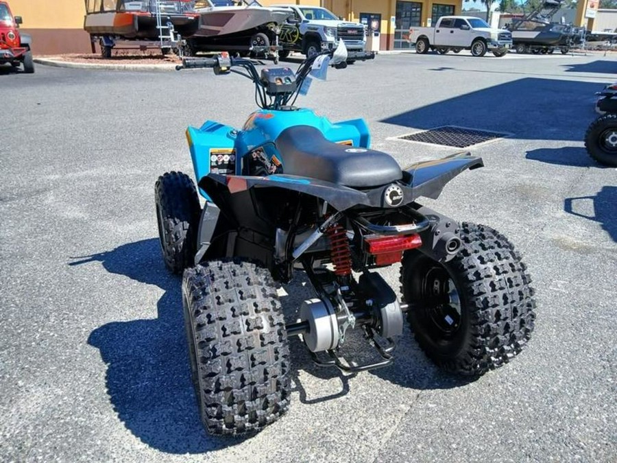 2026 Can-Am® Renegade 110 EFI