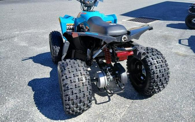 2026 Can-Am® Renegade 110 EFI