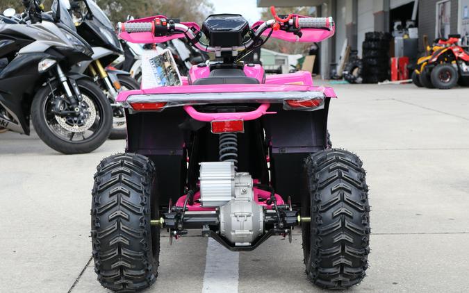 2026 Denago Powersports E-Hawk 6