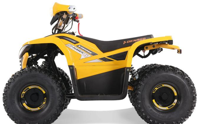 2026 Denago Powersports E-Hawk 6
