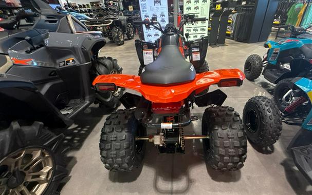 2027 Can-AM DS 250