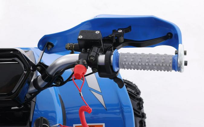 2026 Denago Powersports E-Hawk 6