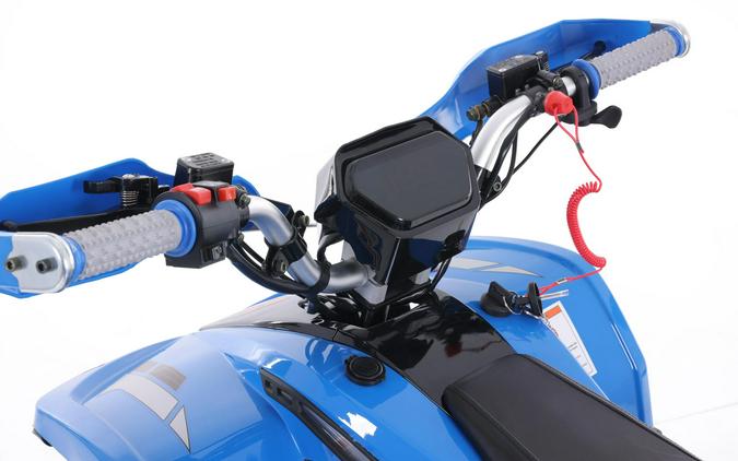 2026 Denago Powersports E-Hawk 6