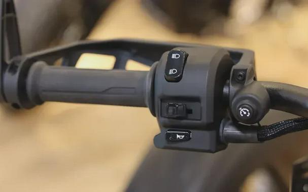 2025 CAN-AM RYKER RALLY 900 ACE