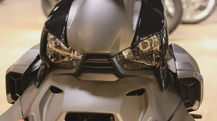 2025 CAN-AM RYKER RALLY 900 ACE
