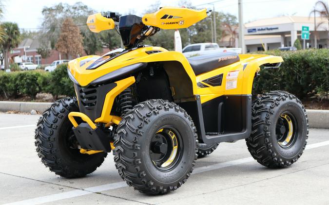 2026 Denago Powersports E-Hawk 6