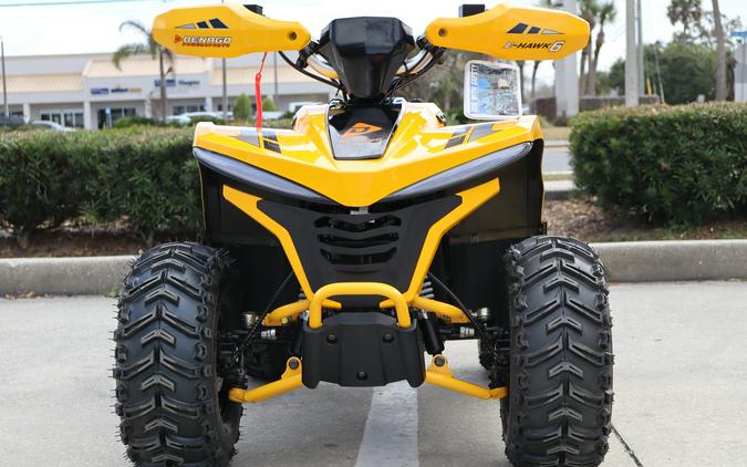 2026 Denago Powersports E-Hawk 6