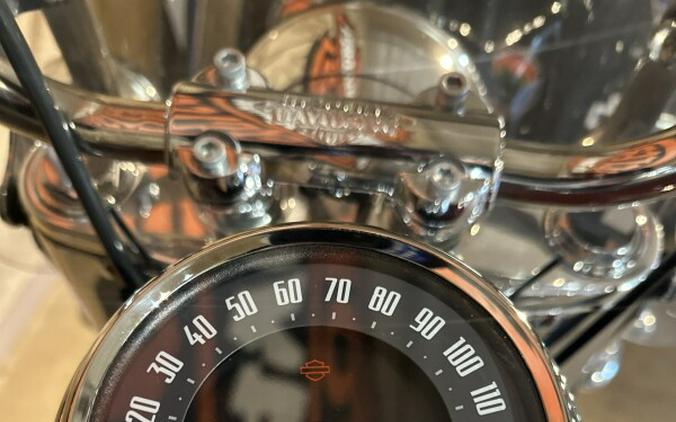 FLHCS 2024 Heritage Classic 114