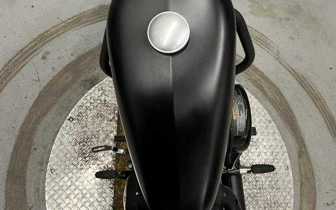 2019 Harley-Davidson® XL 883N - Sportster® Iron 883™