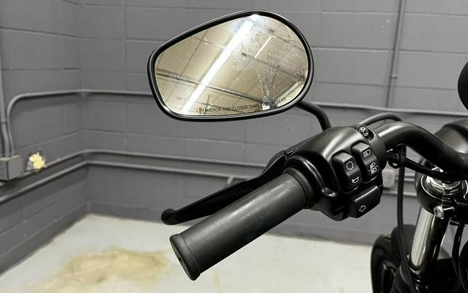 2019 Harley-Davidson® XL 883N - Sportster® Iron 883™