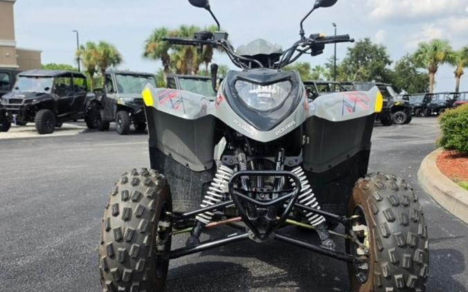 2025 Polaris® PHOENIX 200 - STORM GRAY