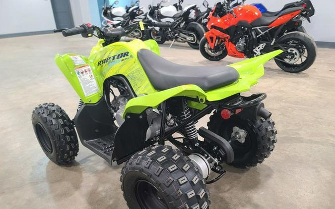 2026 Yamaha Raptor 110
