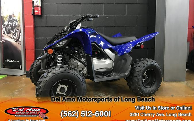 2024 Yamaha RAPTOR 110