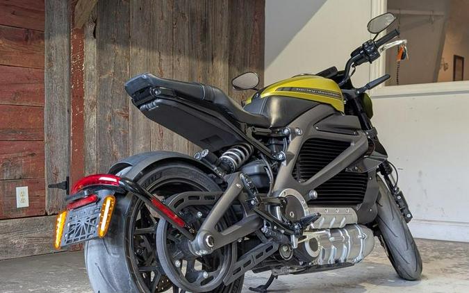 2020 Harley-Davidson® ELW EV1