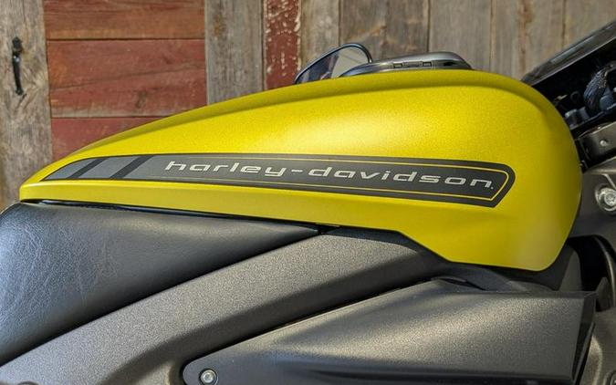 2020 Harley-Davidson® ELW EV1