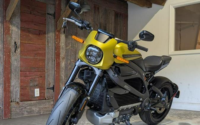 2020 Harley-Davidson® ELW EV1