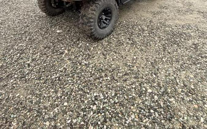 2021 Yamaha WOLVERINE