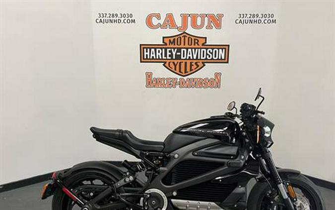 2020 Harley-Davidson LiveWire First Ride