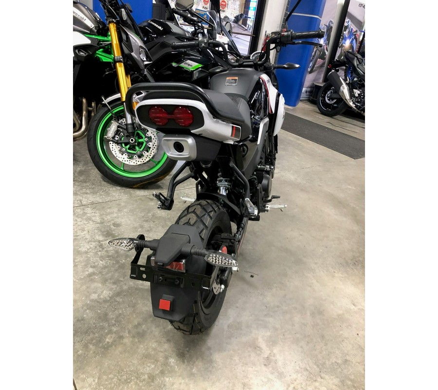 2024 CFMOTO Papio CL