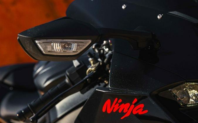 2025 Kawasaki Ninja ZX-10R