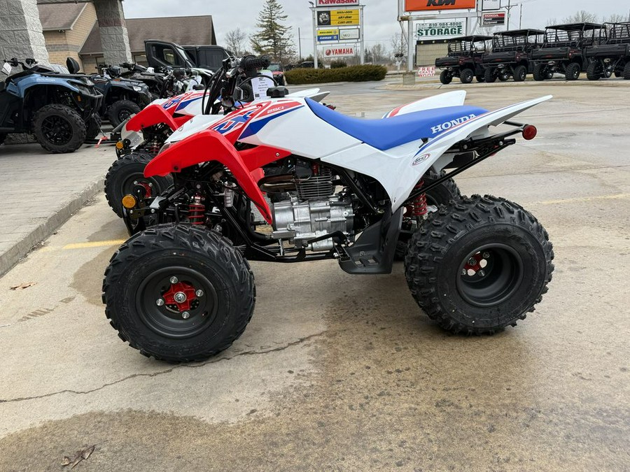 2026 Honda® TRX250X