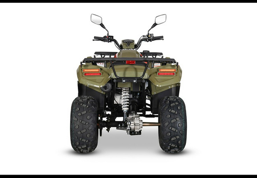 2024 Kayo Bull 300 EFI 300 EFI