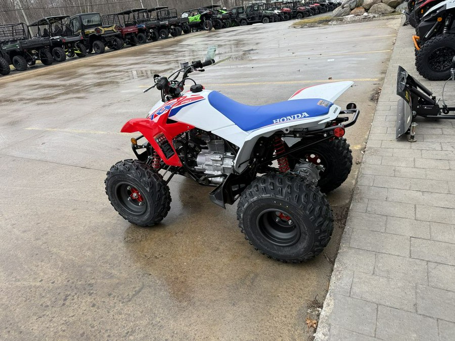 2026 Honda® TRX250X