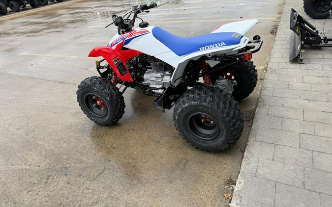 2026 Honda® TRX250X