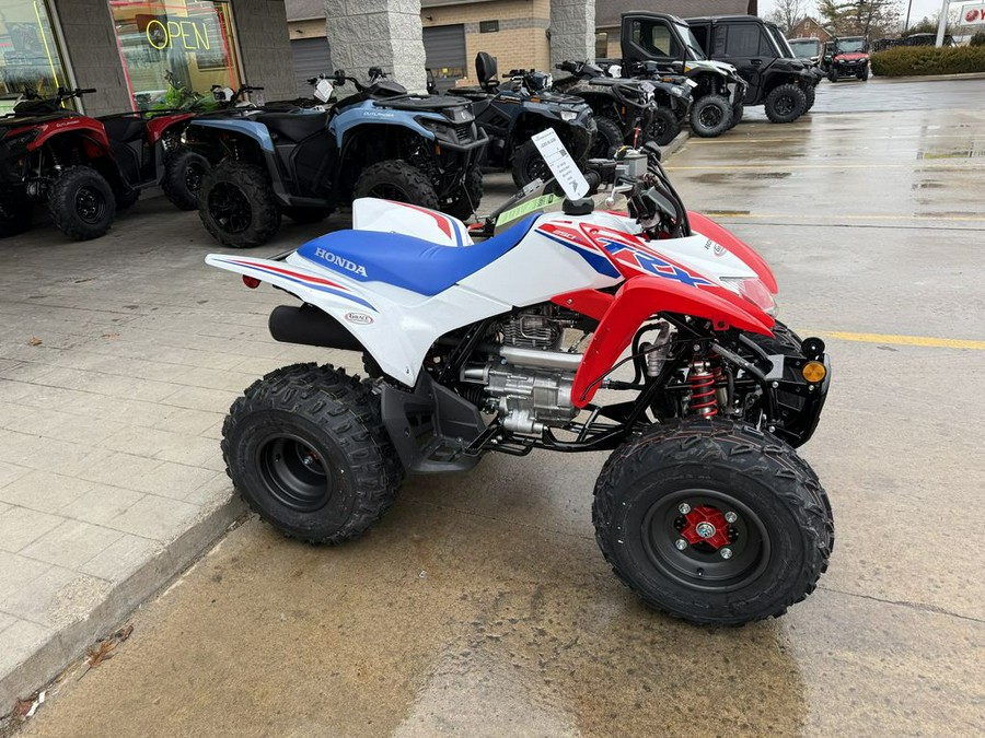 2026 Honda® TRX250X