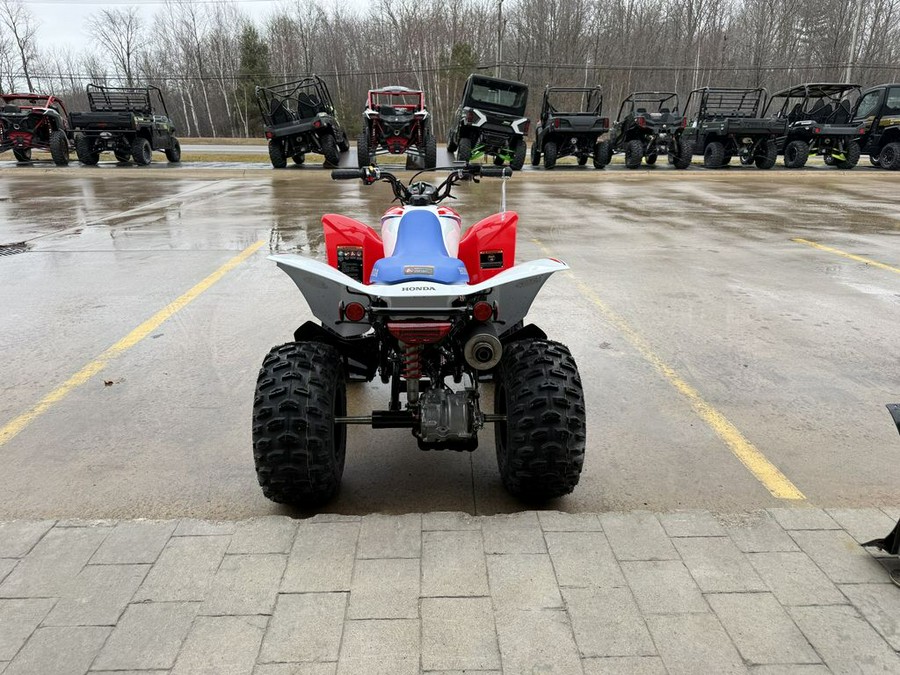 2026 Honda® TRX250X