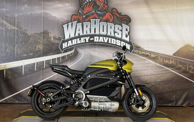 2020 Harley-Davidson LiveWire First Ride