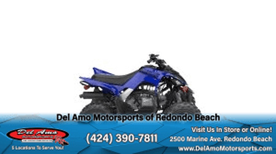 2024 Yamaha RAPTOR 110