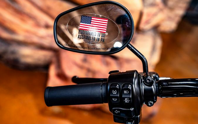 2025 Harley-Davidson Road King Special