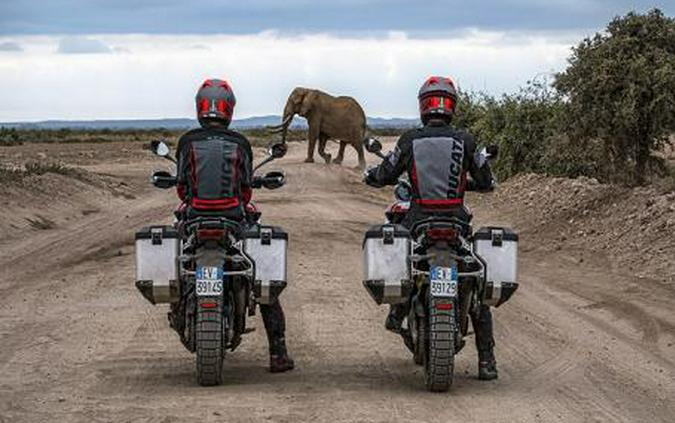 2023 Ducati Multistrada V4 Rally