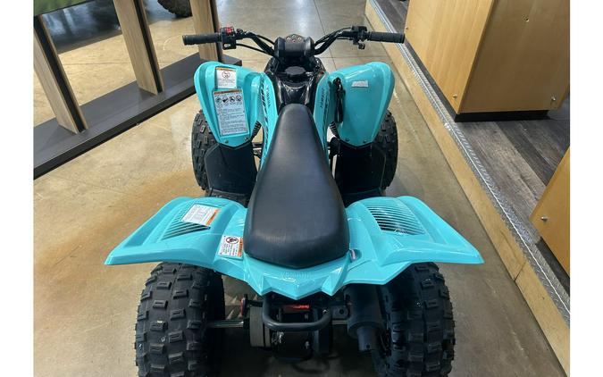 2024 Yamaha Raptor 110