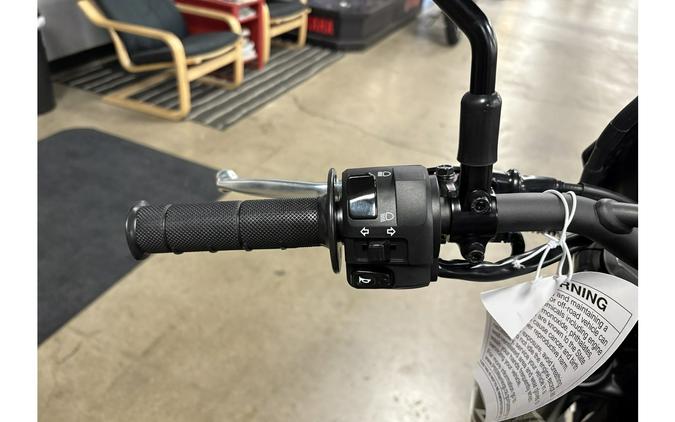 2026 Kawasaki KLX 300