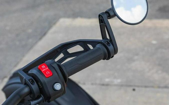 2025 Can-Am Ryker Rally