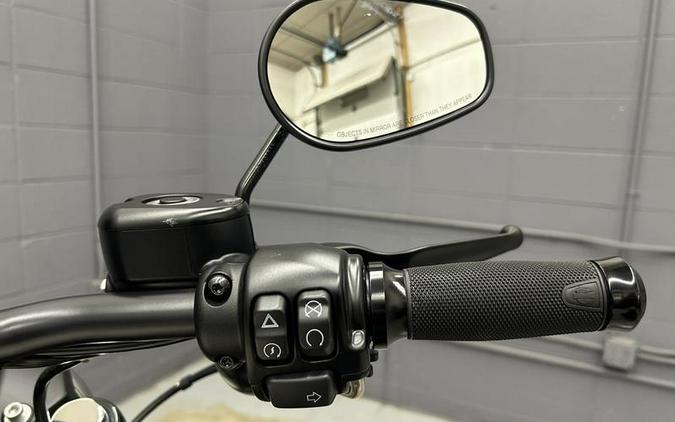 2022 Harley-Davidson® XL883N - Iron 883™