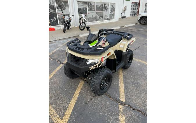 2023 Arctic Cat Alterra 300