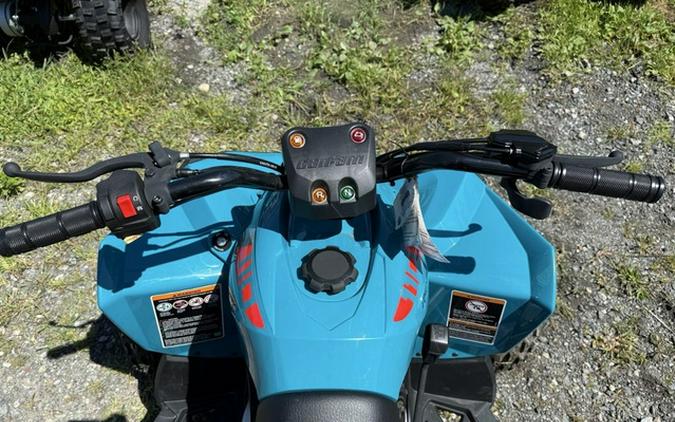 2025 Can-Am Renegade 110 EFI