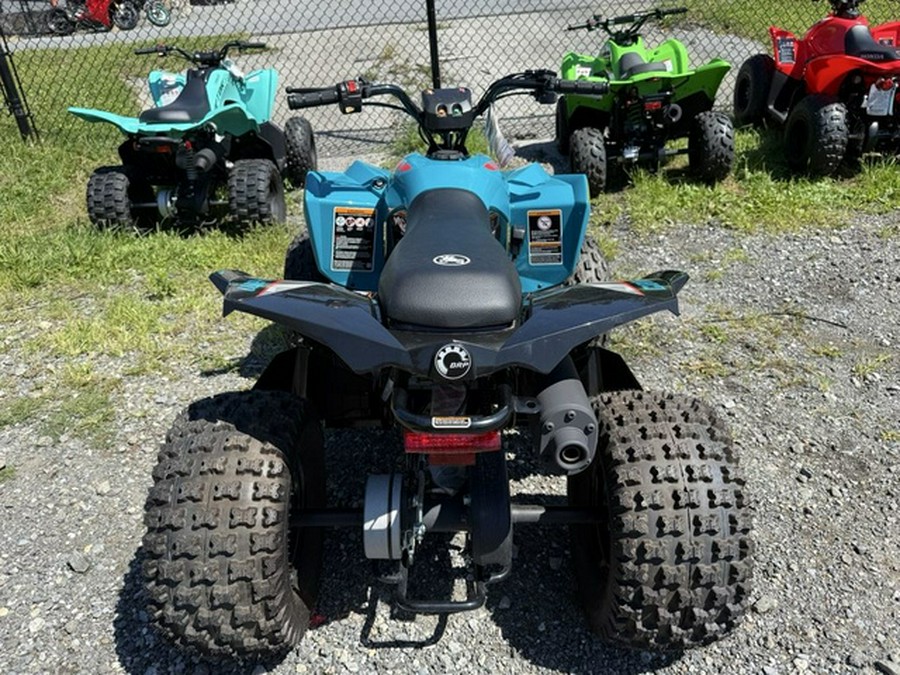 2025 Can-Am Renegade 110 EFI
