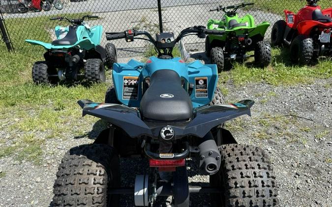 2025 Can-Am Renegade 110 EFI