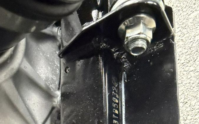 2026 Kawasaki Mule PRO-DXT™ EPS