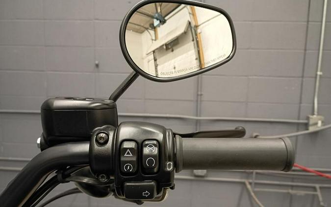 2022 Harley-Davidson® XL883N - Iron 883™