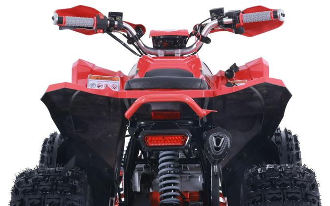 2026 Denago Powersports Trailhawk 10FI