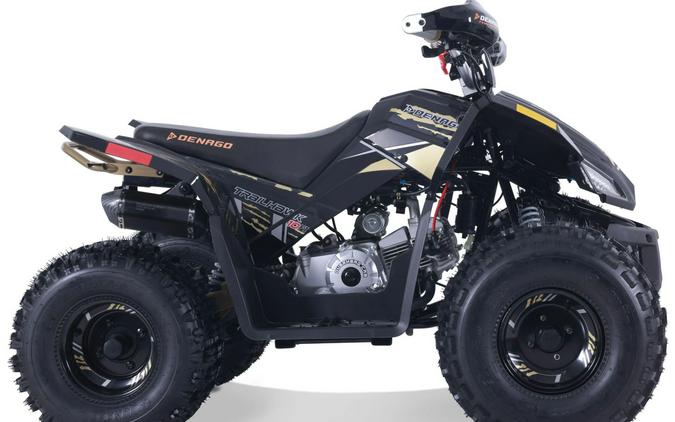 2026 Denago Powersports Trailhawk 10FI