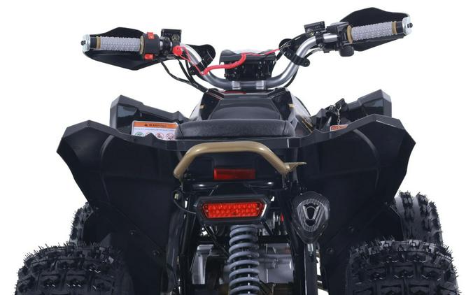 2026 Denago Powersports Trailhawk 10FI