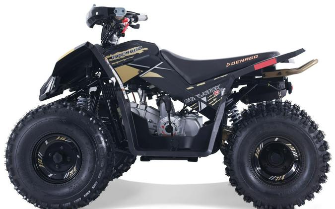 2026 Denago Powersports Trailhawk 10FI