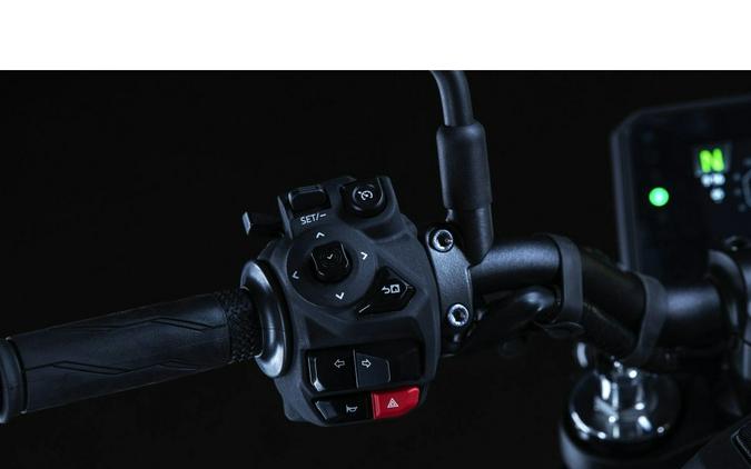 2025 Yamaha Motor Corp., USA MT-09